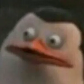 Забавные животные (@safthome) telegram stickers