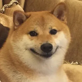 🙂 22f81568 perro, shiba inu, mascota, animal, lindo, meme whatsapp sticker