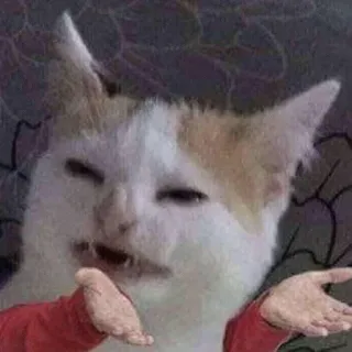 Забавные животные 2 (@safthome) telegram stickers