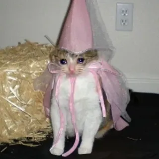 🥺 0be1af0b Kätzchen, Katze, Fee, Prinzessin, süß, Kostüm telegram sticker