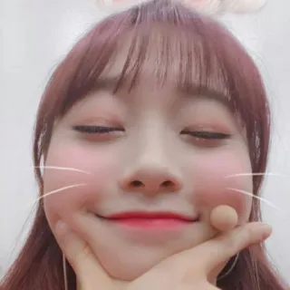 🍭 40536799 carino, coniglio, ragazza, orecchio, allegro telegram sticker