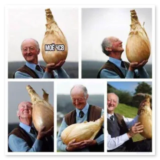 👐 edbf1ae9 МОЄ ЧСВ homme, oignon, drôle, mème, ukrainien telegram sticker