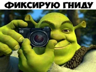 📸 28cf50aa Shrek ФИКСИРУЮ ГНИДУ ogre, vert, dessin animé, appareil photo, prendre photo whatsapp sticker