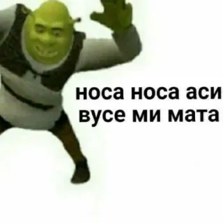 🤠 743cac39 Shrek носа носа аси вусе ми мата shrek, drôle, mème whatsapp sticker
