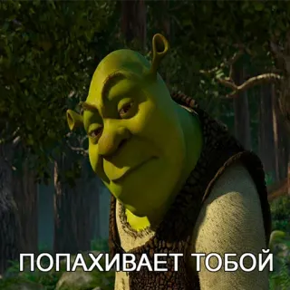 😜 da73a7b4 Shrek ПОПАХИВАЕТ ТОБОЙ ogre, drôle, vert, film, dreamworks whatsapp sticker