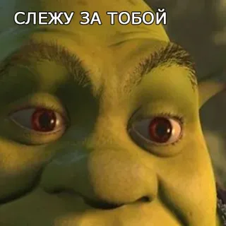 😑 ed981d73 Shrek СЛЕЖУ ЗА ТОБОЙ shrek, ogre, regarder, flippant, mème whatsapp sticker