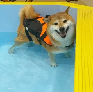 𝐂𝐔𝐓𝐄 𝐂𝐇𝐄𝐄𝐌𝐒 | @lonely_weeb telegram stickers