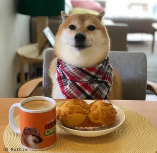 𝐂𝐔𝐓𝐄 𝐂𝐇𝐄𝐄𝐌𝐒 | @lonely_weeb telegram stickers