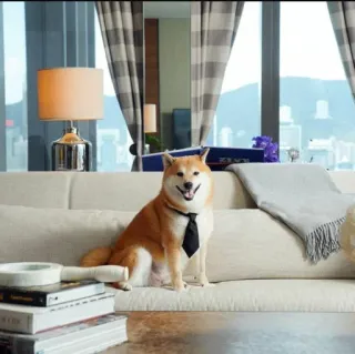 𝐂𝐔𝐓𝐄 𝐂𝐇𝐄𝐄𝐌𝐒 | @lonely_weeb telegram stickers