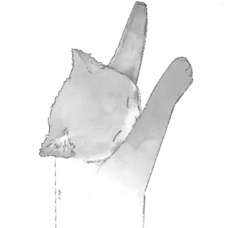 🎱 68c4bb6f jari tengah, menyinggung, kasar, gestur telegram sticker