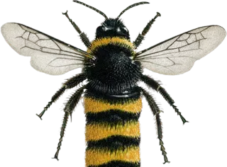 LOOOOOOOONG @StickersPRO telegram stickers