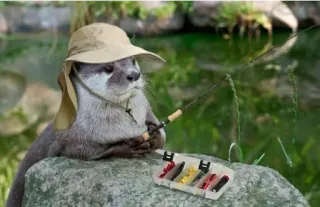 Otter love telegram stickers