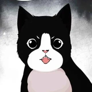 😠 63ef9bd2 gato, negro, blanco, animal, dibujo animado whatsapp sticker