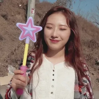 🐦 3242d20e telegram sticker