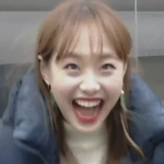 😝 40db8349 telegram sticker