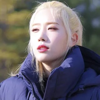 🌞 62d291d1 woman, portrait, person, blonde hair, makeup, jacket telegram sticker