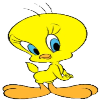 ☺️ 121d4f21 Tweety Bird cartone animato, uccello, giallo, Titti, personaggio telegram sticker