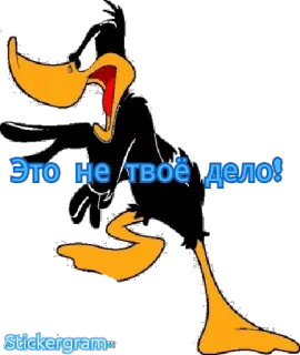 😑 2400b1fe Daffy Duck Это не твоё дело! 만화, 오리, 루니 툰, 대피 덕, 텍스트, 러시아어 telegram sticker