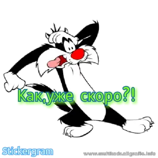 😧 7717735d Как, уже скоро?! 고양이, 만화, 속도, 러시아어, 스티커 telegram sticker