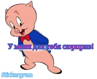🎅 fbd8bc27 Porky Pig У Меня для тебя сюрприз! 만화, 돼지, 놀람, 웃긴, 루니 툰 telegram sticker