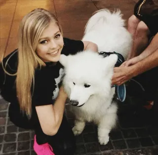 🐶 c1e49f05 anjing, samoyed, gadis, rambut pirang, senyum, imut, hewan peliharaan, persahabatan whatsapp sticker