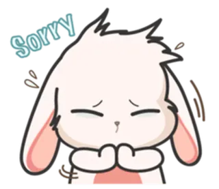 ⚪️ 0913b196 Sorry กระต่าย, ขอโทษ, การ์ตูน, น่ารัก, ขอโทษ, เสียใจ telegram sticker