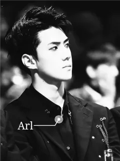 ✖ 24f807d7 Arl- telegram sticker