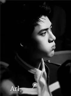 ✖ 55f540a5 Arl telegram sticker