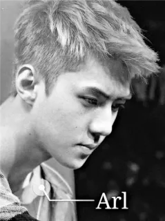 ✖ 9e304a76 Arl telegram sticker