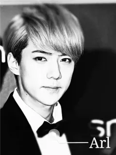 ✖ efbebd9f Arl telegram sticker