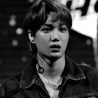 ⛲️ 070976eb kpop, singer, male, asian, black and white, concert telegram sticker