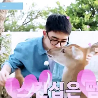 🌏 2cecce79 telegram sticker