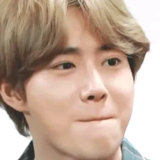 💧 44ede4db telegram sticker