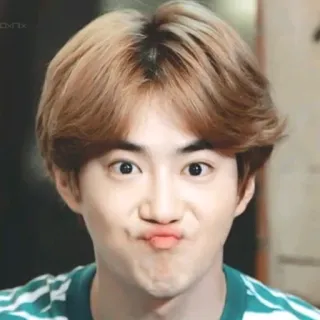 💧 f20c9f49 kpop, 韩流, 演员, 歌手, 男性, 脸, 肖像 telegram sticker