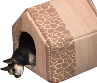 😢 79b91cd5 Hund, Tier, Haustier, Chihuahua, Hundehütte, Innenbereich telegram sticker