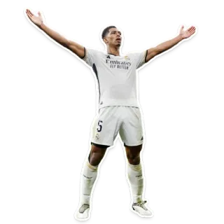 🫲 11d8f63a 体育, 足球, 足球, 运动员, 球员, 皇家马德里, 庆祝 telegram sticker