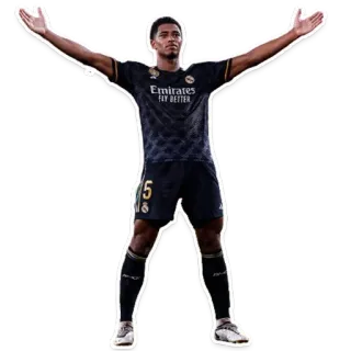 🫲 e580cbd3 Emirates
FLY BETTER 足球, 运动员, 球员, 足球, 运动 telegram sticker