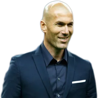 🙂 bdfeee0e Zinedine Zidane football, soccer, coach, zidane, real madrid telegram sticker