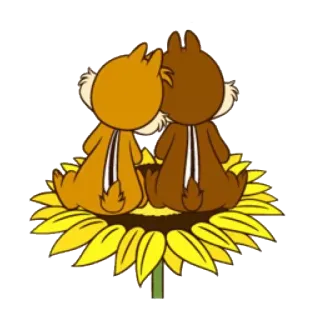 💑 550b9d16 Chip and Dale Chip, Dale, Chip n Dale, Disney, Kartun, Binatang, Bunga Matahari, Lucu telegram sticker