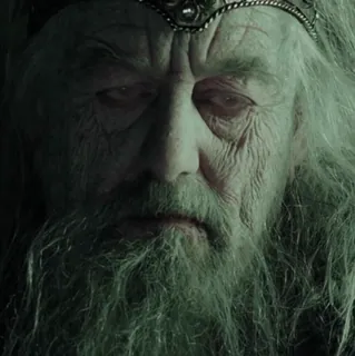 💍 27762511 Théoden The Lord of the Rings Théoden, Re, Il Signore degli Anelli, Fantasy, Film, Uomo, Barba, Corona telegram sticker