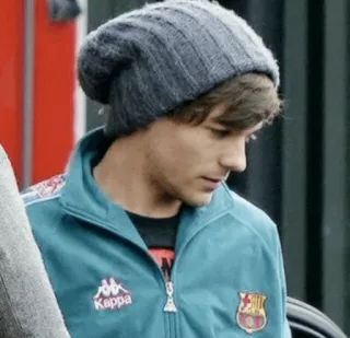 🍌 4a673bd8 Louis Tomlinson celebrity, singer, person, portrait, hat telegram sticker