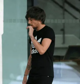 🍃 77ab88d4 Louis Tomlinson celebrity, singer, male, person, casual, adidas telegram sticker