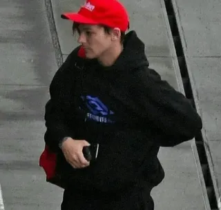 🐚 cb29956d telegram sticker