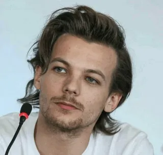 👁 e75455fd Louis Tomlinson celebrity, singer, musician, portrait telegram sticker