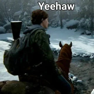 🐎 123736a5 Yeehaw лошадь, винтовка, снег, приключение, на природе telegram sticker