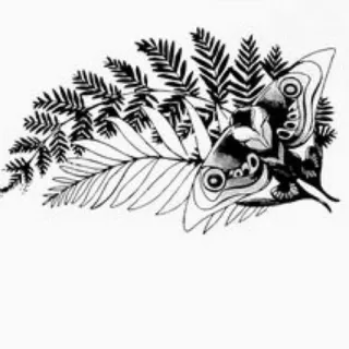 🌿 499f86f4 папоротник, листья, моль, насекомое, природа, монохромный telegram sticker