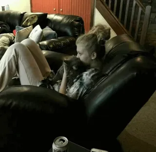 💫 a38b46fb vrouw, kat, bank, huisdier, binnen, persoon whatsapp sticker