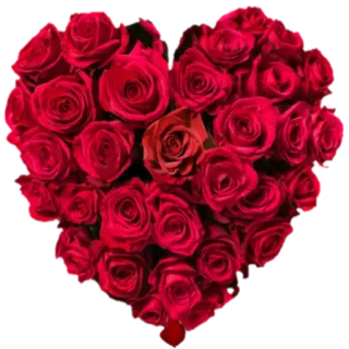 ❤️ 6a0a9dcf mawar, hati, bunga, cinta, merah, berbunga, buket whatsapp sticker