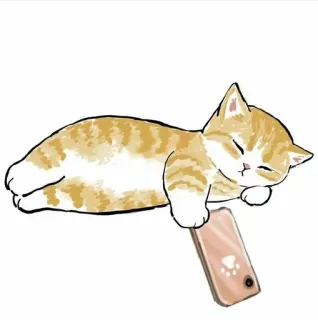 💗 0d77f4f6 แมว, ลูกแมว, หลับ, โทรศัพท์, รอยเท้า, สัตว์, น่ารัก telegram sticker