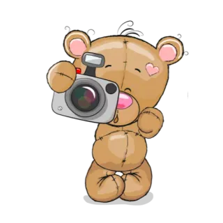✌ 94637dd0 beruang, kamera, stiker, kartun, imut, boneka beruang, fotografer telegram sticker